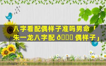 八字看配偶样子准吗男命「朱一龙八字配 🐞 偶样子」